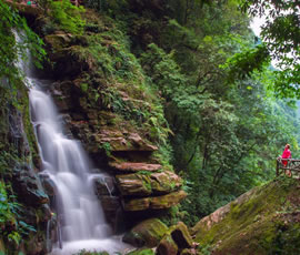 碧峰峽、上里古鎮(zhèn)二日游