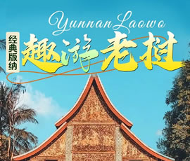 【趣游老撾 · 經(jīng)典版納】—昆明、普洱、西雙版納、磨丁、瑯勃拉邦四動(dòng)8日游